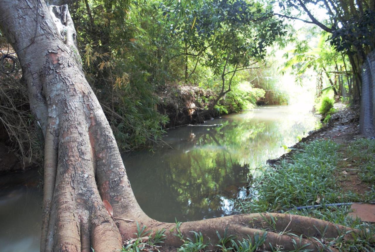 Mondulkiri Pizza Bungalows センモノロム エクステリア 写真